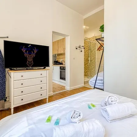 Appartamento 2 Pieces Confort, Deco Moderne, Wifi Fibre Grenoble